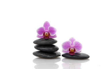 Still life with pink orchid on black stacked stones