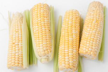 corn on white background