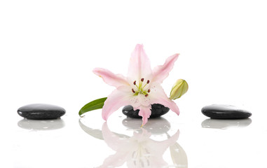Obraz na płótnie Canvas Spa concept with lily and black stone 