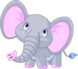 Baby Elephant