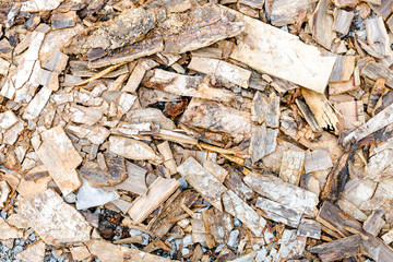 scraper spokeshave sapele exotic hardwood