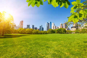 Obraz premium Central park, New York