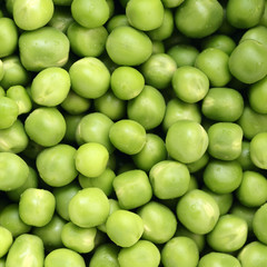 Fresh Green Peas