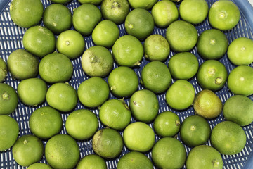 Lemon juice in a plastic tray