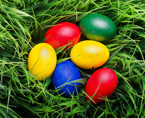 Fototapeta na wymiar Colorful Easter eggs on green grass. Top view