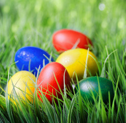 Colorful Easter eggs on green grass