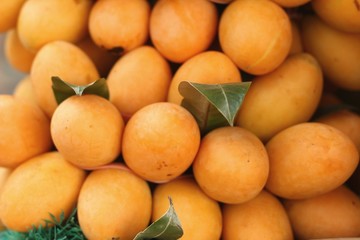 Marian plum fruit - asia fruit