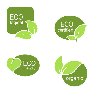 Frames and labels with leaves for ecological and organic design