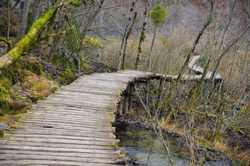 Naklejka premium Wooden path trough the lakes