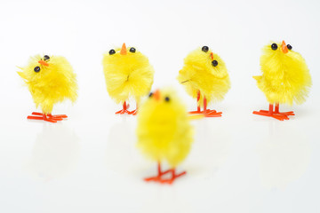 Easter still life with  chickens on white background.