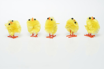 Easter still life with  chickens on white background.