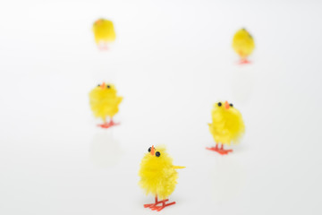 Easter still life with  chickens on white background.