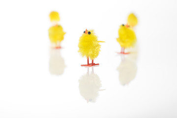 Easter still life with  chickens on white background.