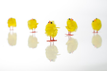 Easter still life with  chickens on white background.