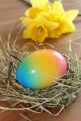 Frohe Ostern - Osternest mit bunt gefärbtem Ei
