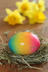 Frohe Ostern - Osternest mit bunt gefärbtem Ei