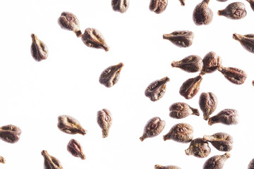 Weintraubenkerne (Vitis vinivera), weißer Grund, Studio