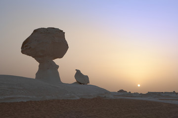 White desert shapes at sunset © 2630ben