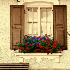 Bavarian Window