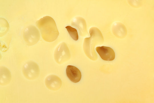 Cheese texture  ( maasdamer cheese )