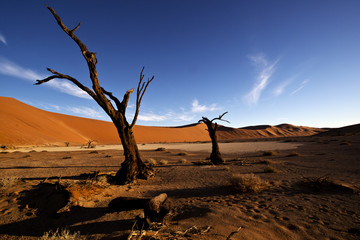 Hidden Vlei