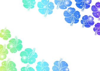 ブルー　ハイビスカス