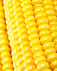Corn