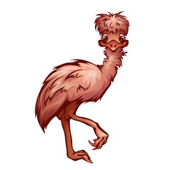 Vector illustration of cartoon cute emu