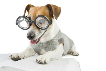 Smart reader cool puppy