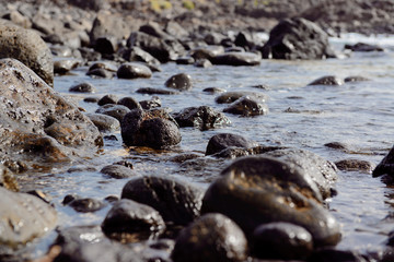 Obraz premium Stony coast in Tenerife, Canary Islands. Spain
