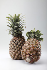 Fototapeta premium pineapple