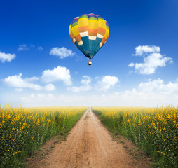 Hot air balloon over dirt road into yellow flower fields with cl