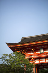 Fototapeta premium Temple