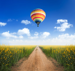 Naklejka premium Hot air balloon over dirt road into yellow flower fields with cl