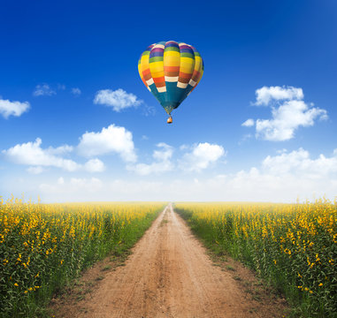 Hot air balloon over dirt road into yellow flower fields with cl