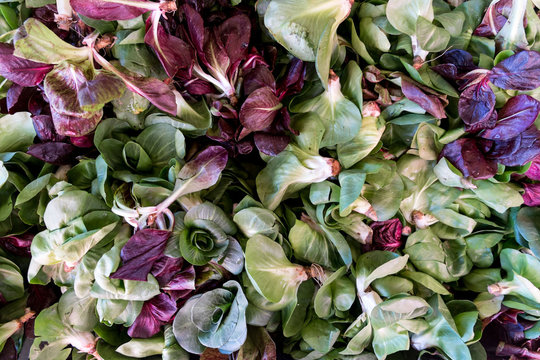 fresh vegetables