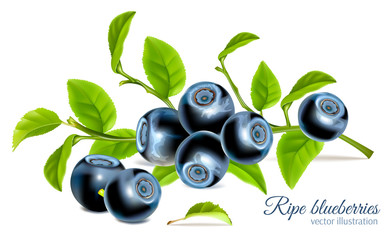 Blueberries with leaves