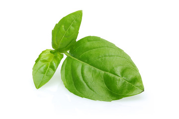 Fresh Basil