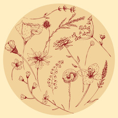 Vector graphic wildflower set