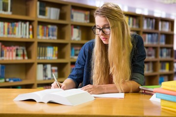 Student studying in the library