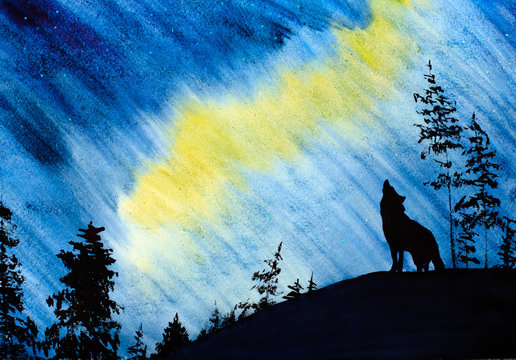 Northern Lights and the Wolf