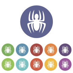 Spider flat icon