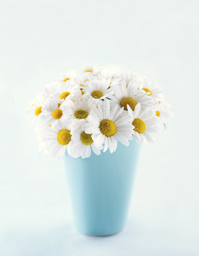 Fototapeta Bouquet of daisy flowers