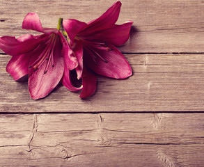 two flowers on wooden background