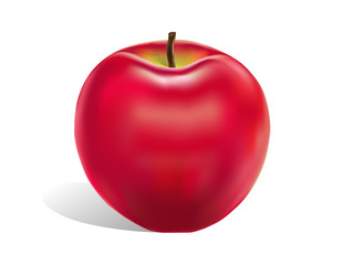 Vector red apple isolated.  Illustrationon a white background.
