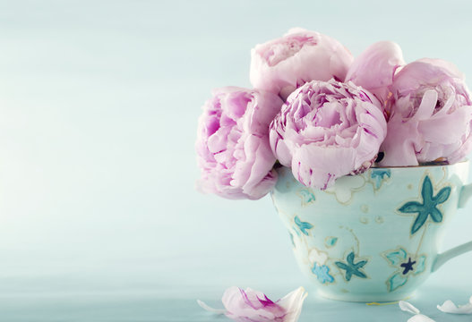 Fototapeta Pink peony flowers