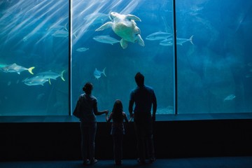 Happy family looking at fish tank