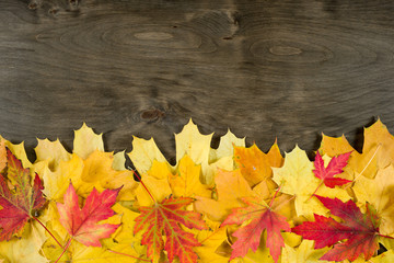 autumn leaves frame on wood background