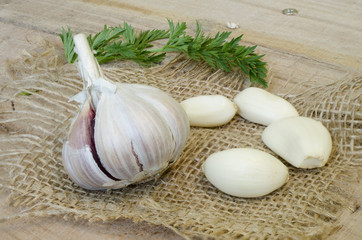 Garlic and parsley on canvas