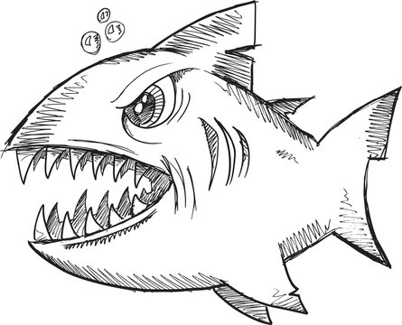 Doodle Sketch Shark Vector Illustration Art